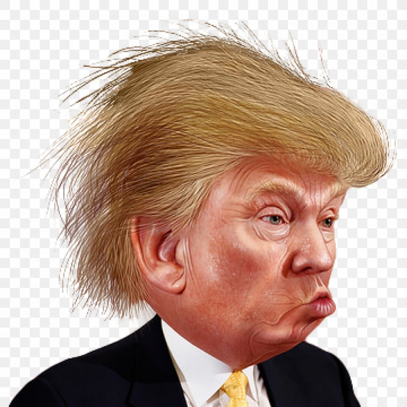 Donald Trump Clip Art Image Funny Face, PNG, 1000x1000px, Donald Trump, Blond, Caricature, Chin, Drawing Download Free