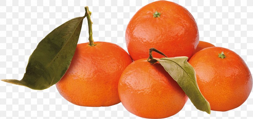 Food Tangerine Mandarin Orange Tangelo Tomato, PNG, 1999x945px, Food, Bush Tomato, Citrus, Clementine, Diet Download Free