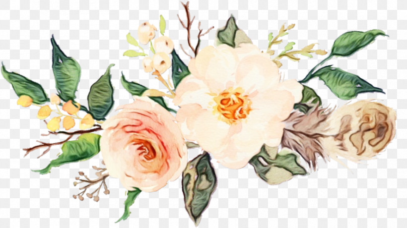 Garden Roses, PNG, 887x498px, Watercolor, Flower, Garden Roses, Paint, Petal Download Free