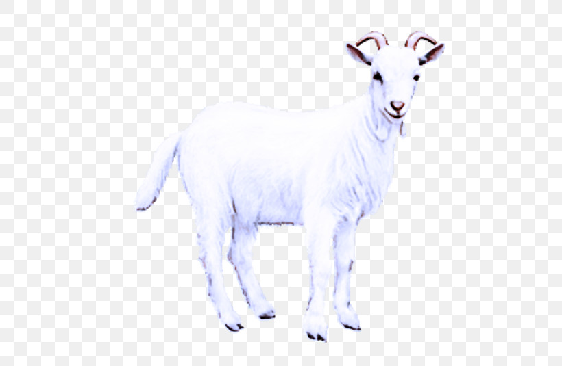 Goat Mountain Goat Sheep Animal Figurine, PNG, 503x535px, Goat, Animal Figurine, Biology, Childrens Film, Family Download Free