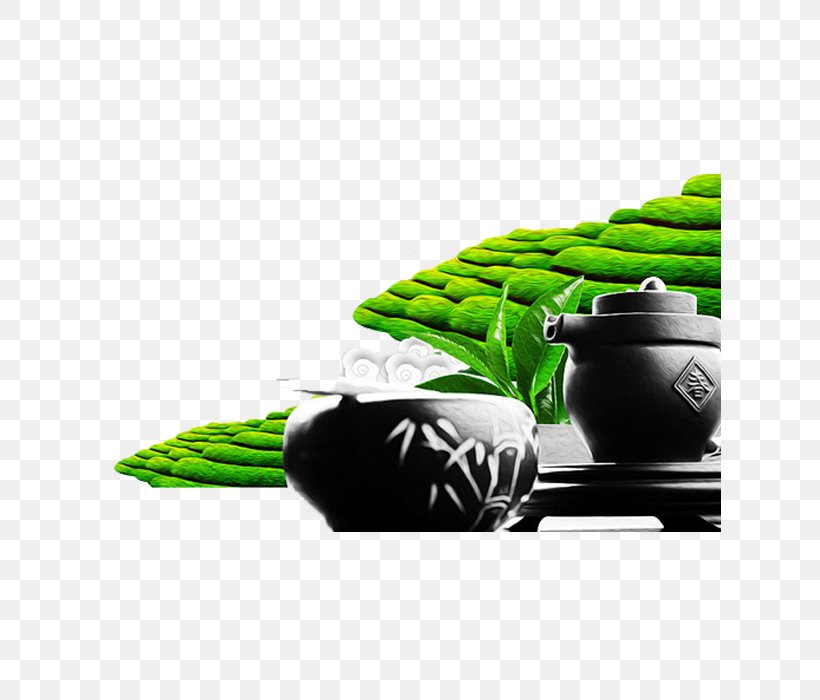 Green Tea Tea Garden Tea Culture, PNG, 623x700px, Tea, Camellia Sinensis, Chinese Tea Ceremony, Grass, Green Download Free