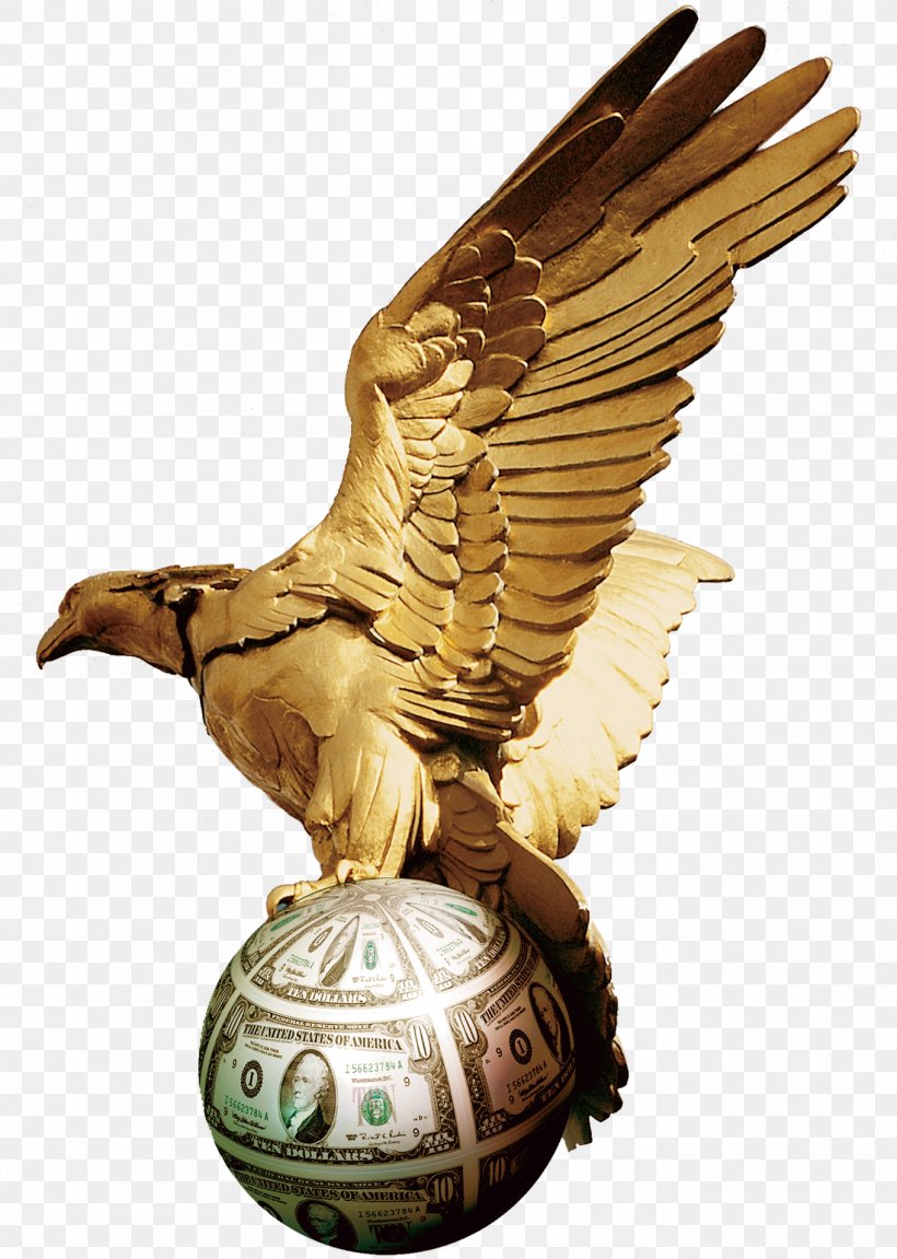 Hawk Ball Gold Google Images, PNG, 1361x1911px, Hawk, Ball, Bird, Bird Of Prey, Eagle Download Free