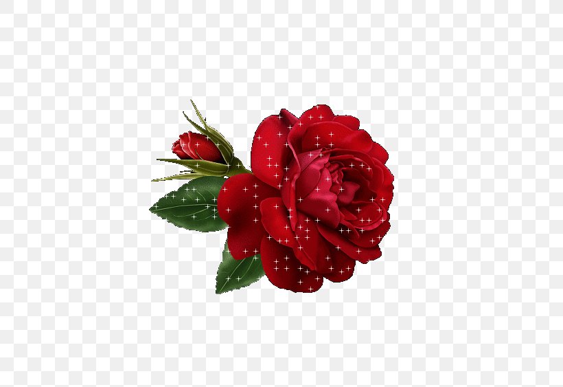 Rose Flower Red Clip Art, PNG, 723x563px, Rose, Color, Cut Flowers, Floral Design, Floristry Download Free