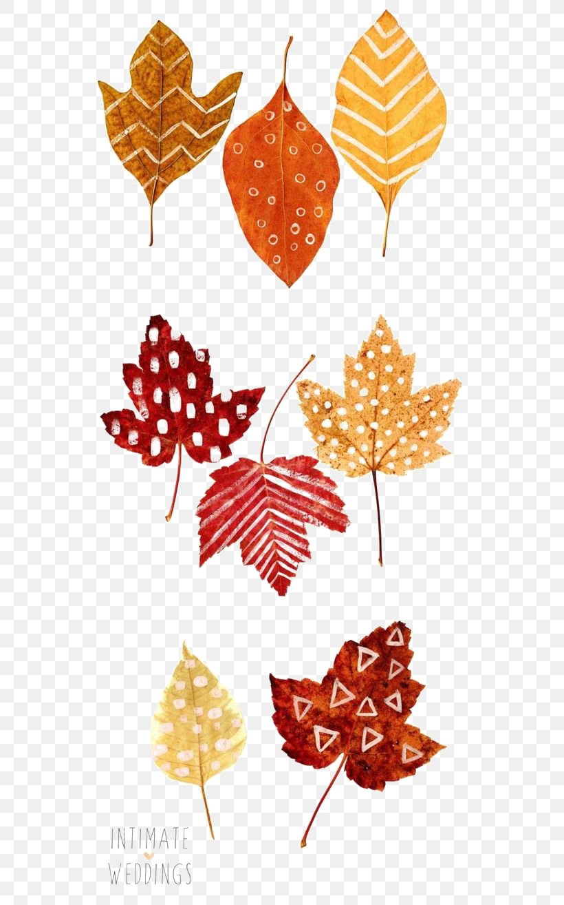 Thanksgiving Autumn Leaf Color Place Card Drawing, PNG, 564x1314px, Paper, Art, Autumn, Autumn Leaf Color, Bulb Download Free