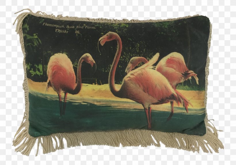 Throw Pillows Cushion, PNG, 2951x2070px, Throw Pillows, Beak, Cushion, Fauna, Flamingo Download Free