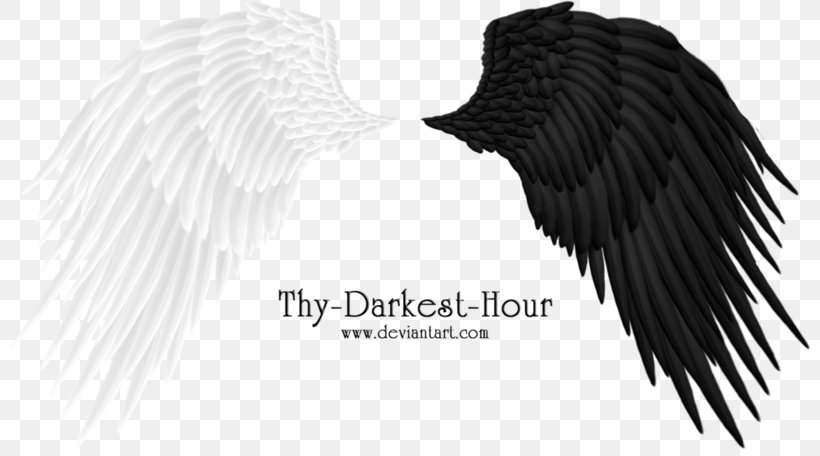 Angel Clip Art, PNG, 800x456px, Angel, Beak, Bird, Bird Of Prey, Black And White Download Free