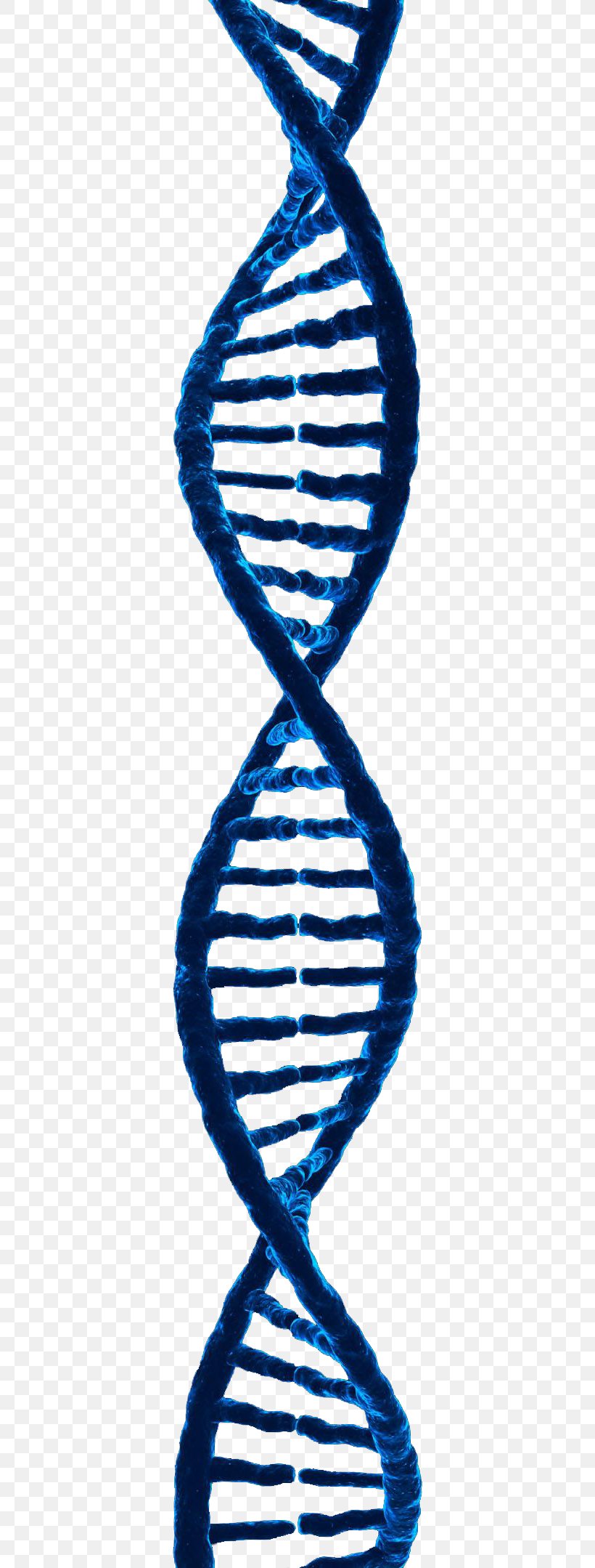 DNA 3D Rendering 3D Computer Graphics, PNG, 344x2158px, 3d Computer Graphics, 3d Rendering, Dna, Black And White, Electric Blue Download Free