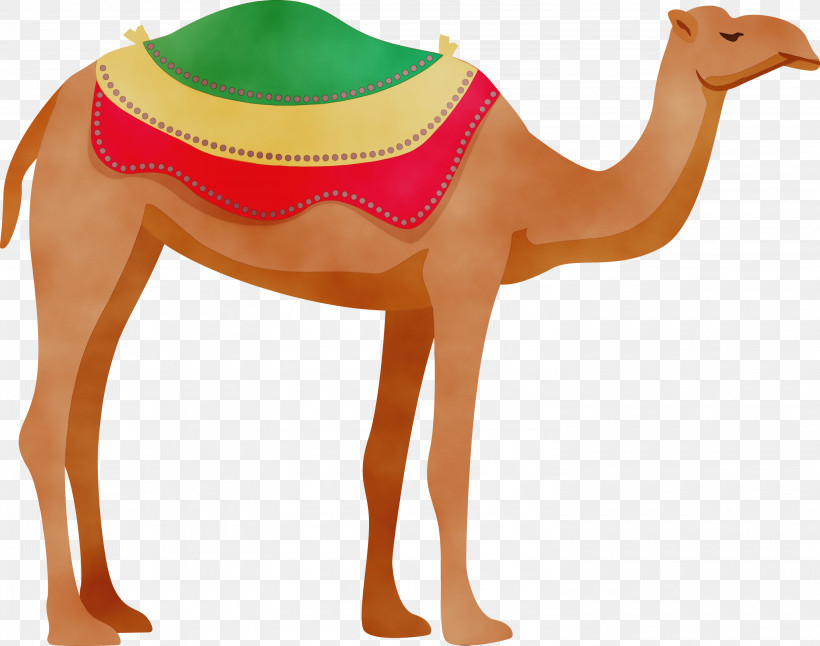 Dromedary Snout Camels, PNG, 3000x2364px, Arab Symbol, Camels, Dromedary, Paint, Snout Download Free