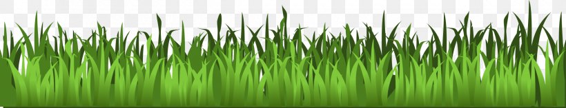 Lawn Download Clip Art, PNG, 2400x460px, Lawn, Animation, Artificial Turf, Chrysopogon Zizanioides, Garden Download Free