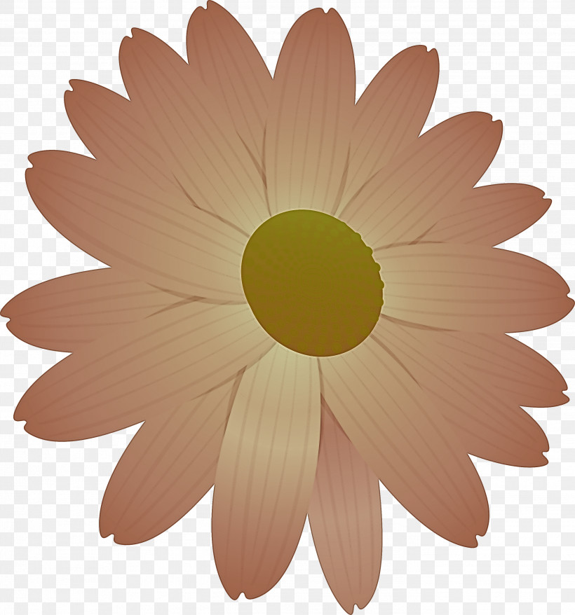 Marguerite Flower Spring Flower, PNG, 2799x3000px, Marguerite Flower, Asterales, Barberton Daisy, Camomile, Chamomile Download Free