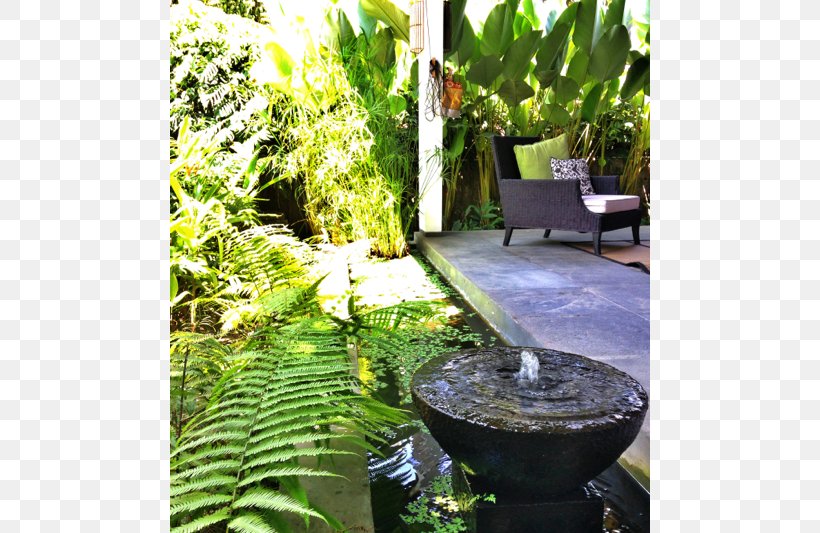 Backyard Water Feature Tree Lawn, PNG, 800x533px, Backyard, Courtyard, Flora, Flowerpot, Garden Download Free