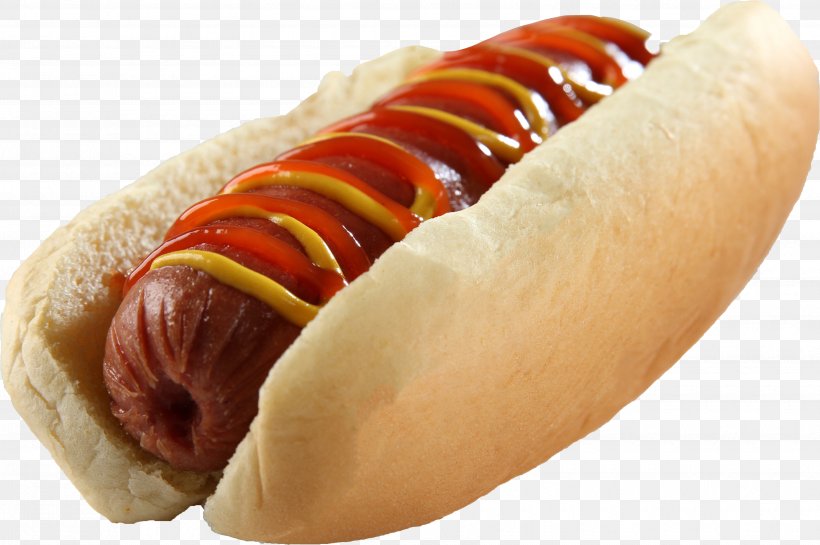 Hot Dog Hamburger Bacon, PNG, 3510x2337px, Hot Dog, American Food, Bacon, Bockwurst, Bologna Sausage Download Free