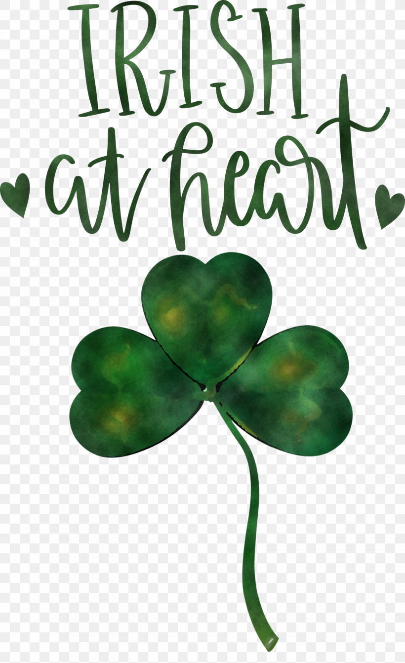 Shamrock Irish Saint Patrick, PNG, 1833x3000px, Shamrock, Biology, Irish, Leaf, Meter Download Free