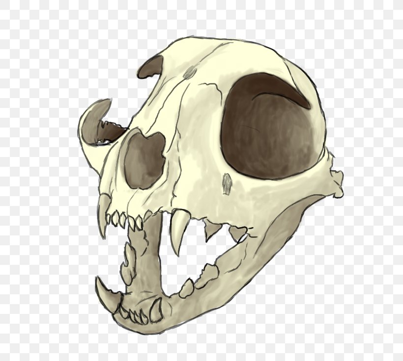 Skull Drawing Painting Skeleton Witchcraft, PNG, 736x736px, Skull, Art, Bone, Cat, Deviantart Download Free