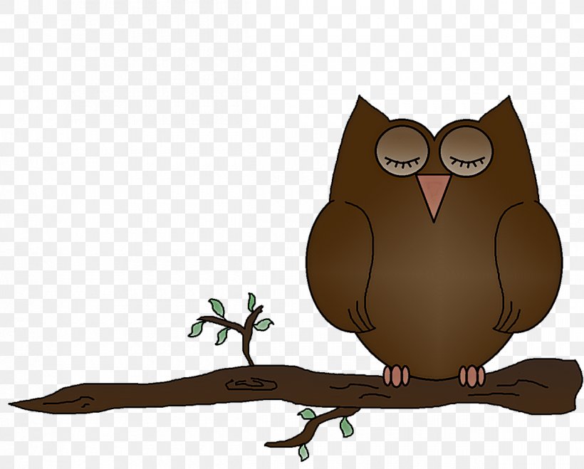 Owl Bird Bird Of Prey Eastern Screech Owl Branch, PNG, 1200x965px, Owl, Animation, Bird, Bird Of Prey, Branch Download Free