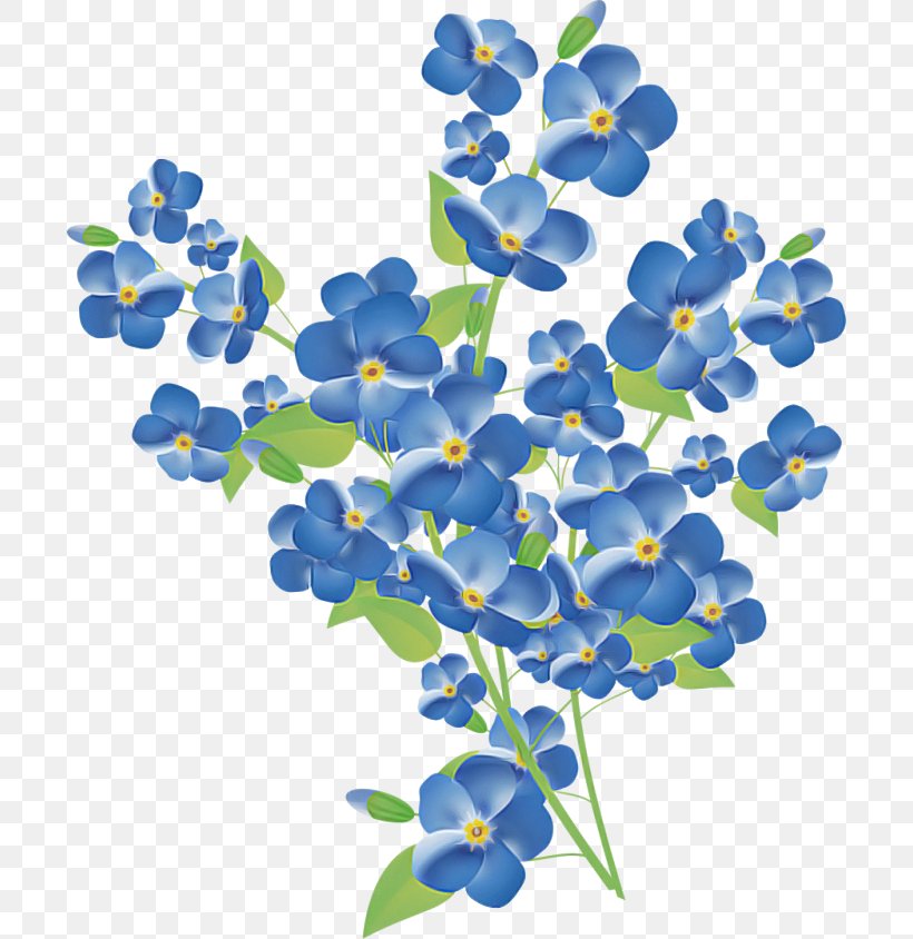 Blue Flower Plant Petal Borage Family, PNG, 700x844px, Blue, Bluebonnet, Borage Family, Flower, Petal Download Free