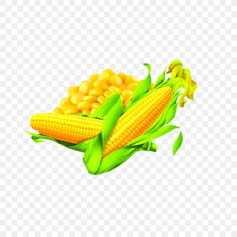 Corn On The Cob Maize Corn Oil Food, PNG, 2953x2953px, Corn On The Cob, Combine Harvester, Commodity, Corn Kernel, Corn Oil Download Free