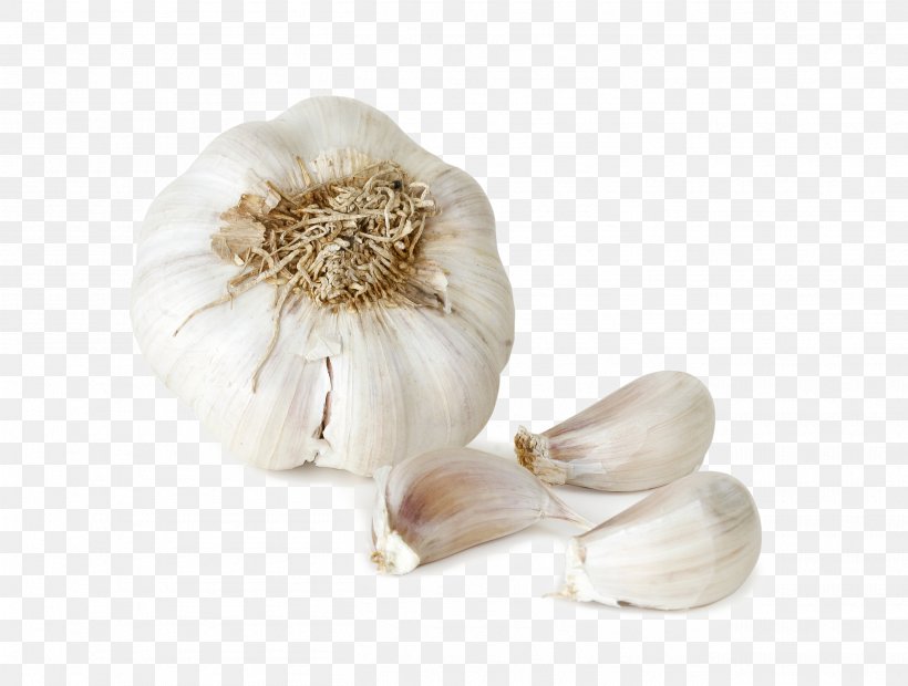 Garlic Italian Cuisine Vegetable Food Onion, PNG, 2616x1980px, Garlic, Artichoke, Broccoli, Clove, Cuisine Download Free