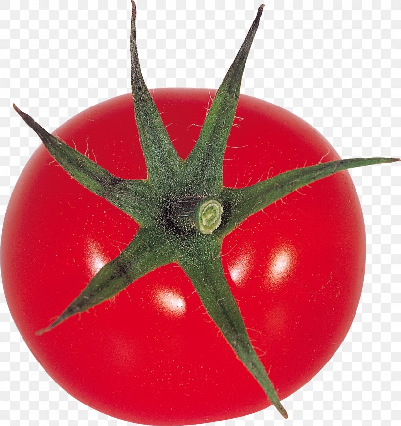 Cherry Tomato Vegetable Salsa Pizza, PNG, 1475x1569px, Cherry Tomato, Bush Tomato, Food, Fruit, Nightshade Family Download Free