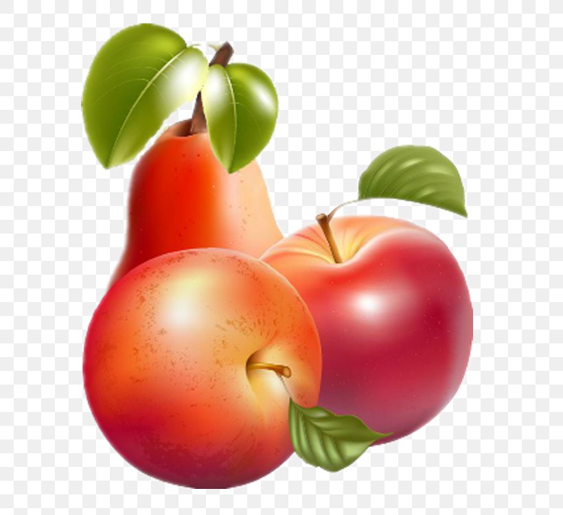 Fruit Barbados Cherry Apple Clip Art, PNG, 750x750px, Fruit, Accessory Fruit, Acerola, Acerola Family, Apple Download Free