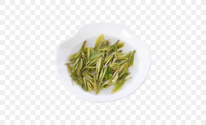 Hu014djicha Nilgiri Tea Baihao Yinzhen Green Tea Huangshan Maofeng, PNG, 500x500px, Nilgiri Tea, Bai Mudan, Baihao Yinzhen, Bancha, Biluochun Download Free