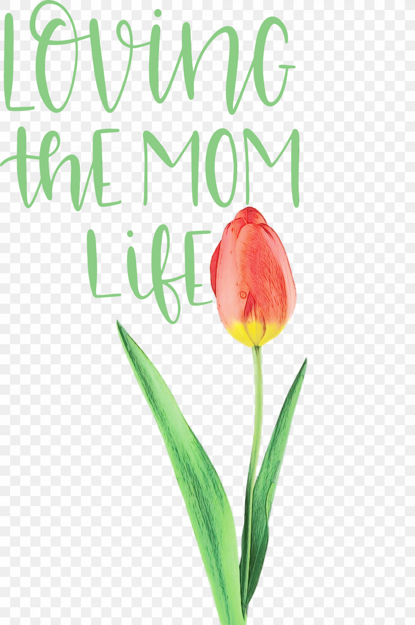 Plant Stem Tulip Cut Flowers Font Petal, PNG, 1991x3000px, Mothers Day, Biology, Cut Flowers, Flower, Meter Download Free