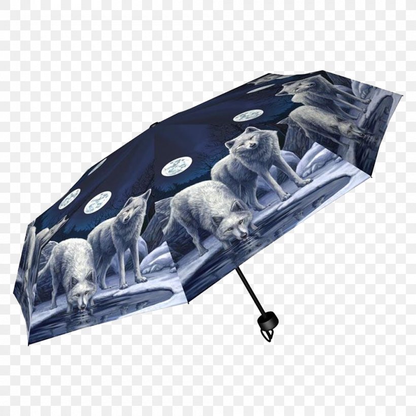 Umbrella Handbag Clothing Accessories Zipper, PNG, 1000x1000px, Umbrella, Anne Stokes, Bag, Clothing, Clothing Accessories Download Free