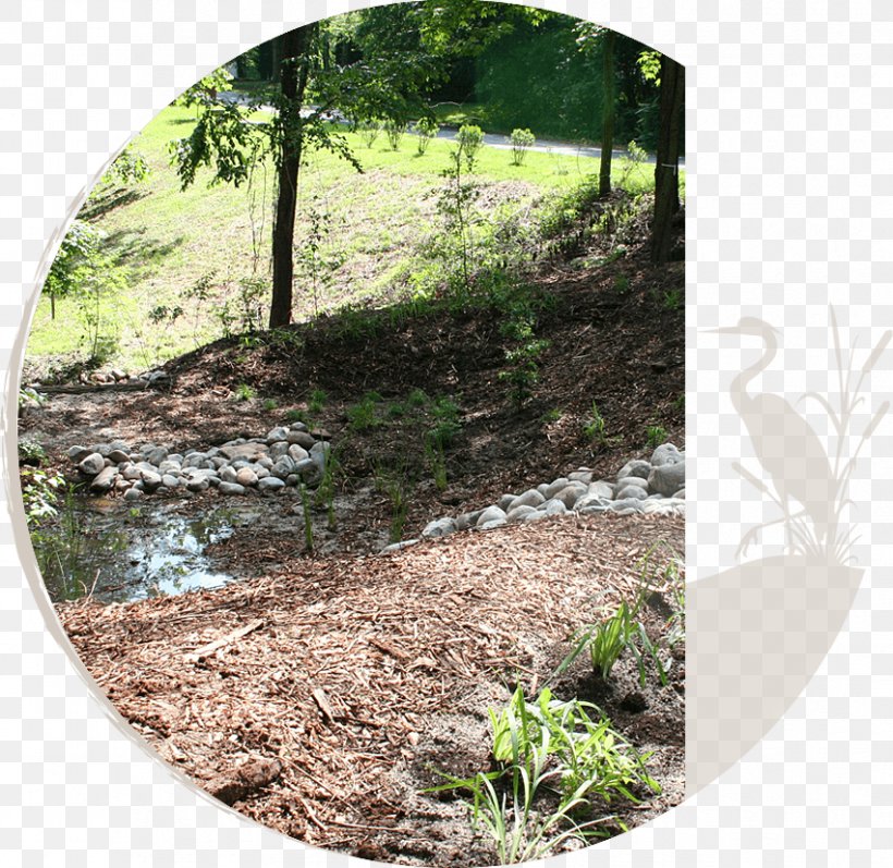 Stream Restoration Soil Vegetation Landscape Nature Reserve, PNG, 851x828px, Stream Restoration, Bioretention, Constructed Wetland, Forest, Grass Download Free