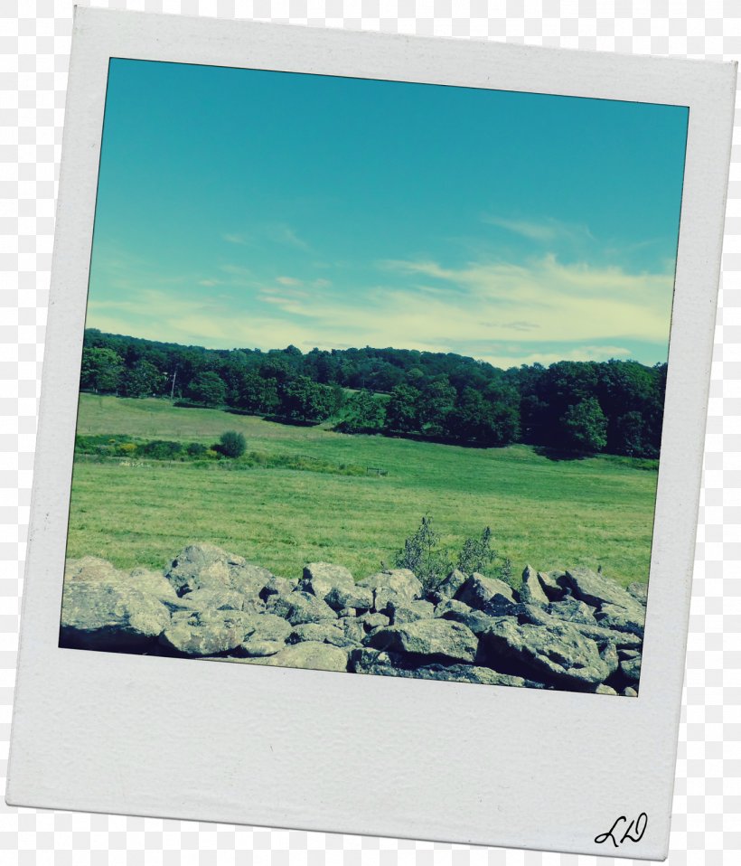 Window Photographic Paper Picture Frames Photography, PNG, 1369x1600px, Window, Grass, Landscape, Meadow, Paper Download Free