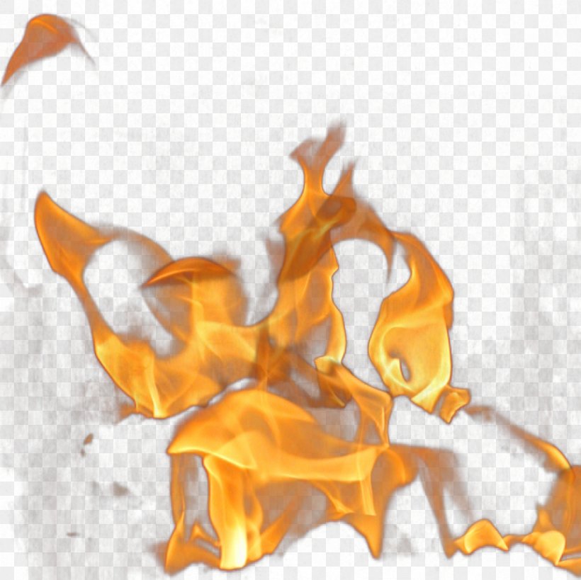 A Group Of Flames, PNG, 1181x1181px, Watercolor, Cartoon, Flower, Frame, Heart Download Free
