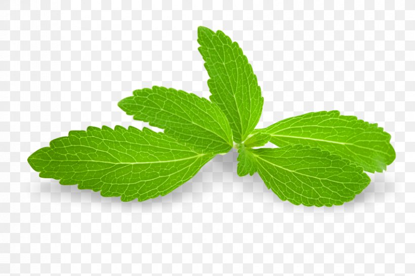 Stevia Peppermint Sugar Substitute Ingredient, PNG, 850x565px, Stevia, Acesulfame Potassium, Extract, Herb, Herbalism Download Free