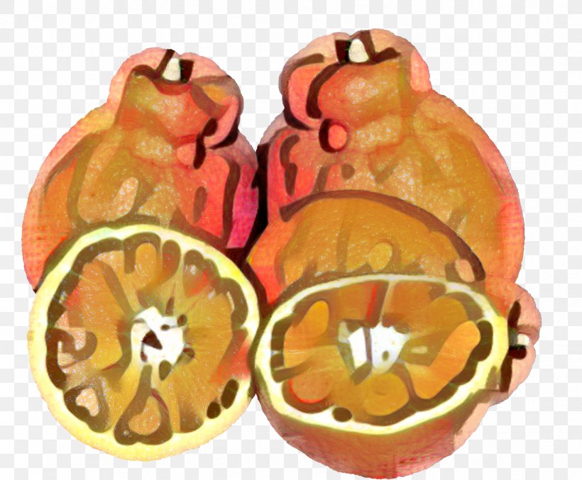 Winter Cartoon, PNG, 1277x1055px, Mandarin Orange, Citrus, Food, Fruit, Grapefruit Download Free