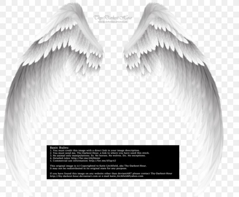 Clip Art, PNG, 984x812px, Autocad Dxf, Angel, Black And White, Eyelash, Internet Media Type Download Free