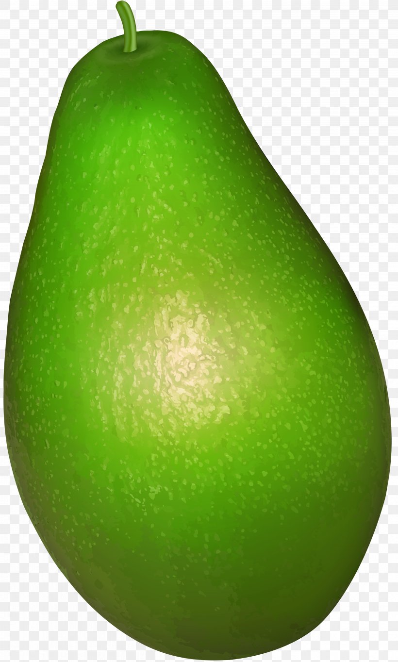 Lime Pear Avocado Apple, PNG, 4807x8000px, Citrus, Apple, Avocado, Food, Fruit Download Free