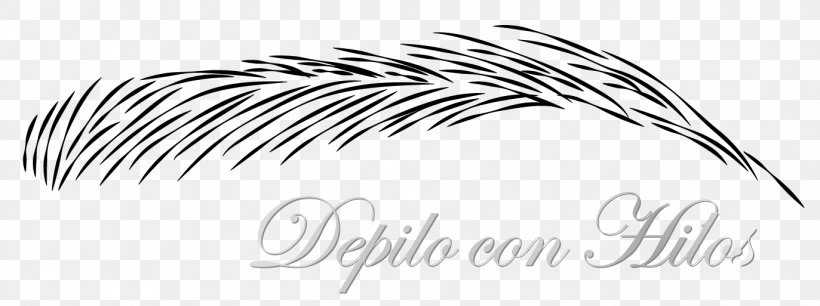 Line Art Drawing Feather, PNG, 1373x513px, Line Art, Artwork, Black And White, Drawing, Eye Download Free