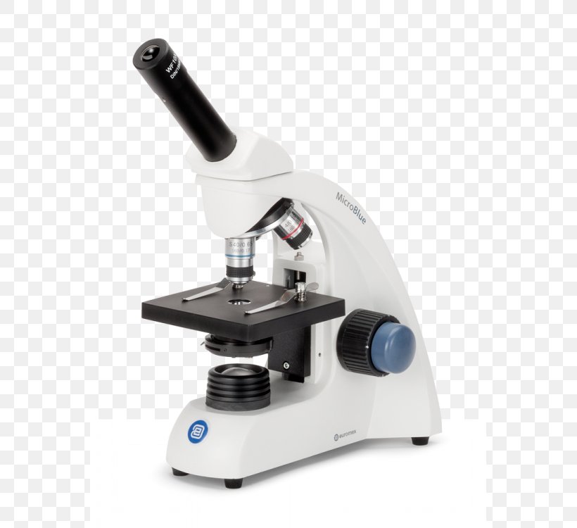 Optical Microscope Stereo Microscope Digital Microscope Monocular, PNG, 563x750px, Microscope, Binoculair, Digital Microscope, Eyepiece, Fluorescence Microscope Download Free