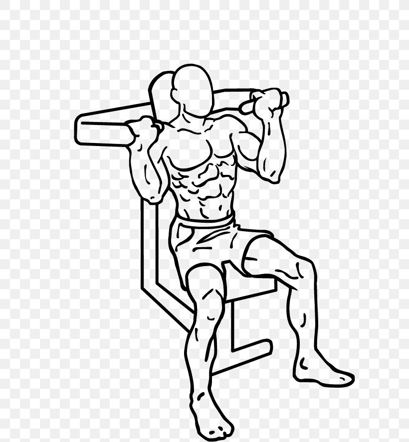 Overhead Press Wiring Diagram Bench Press Exercise Shoulder, PNG, 607x887px, Overhead Press, Area, Arm, Art, Artwork Download Free