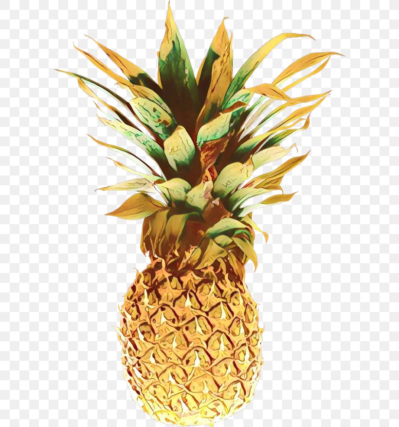 Pineapple, PNG, 600x876px, Cartoon, Ananas, Flowering Plant, Food, Fruit Download Free