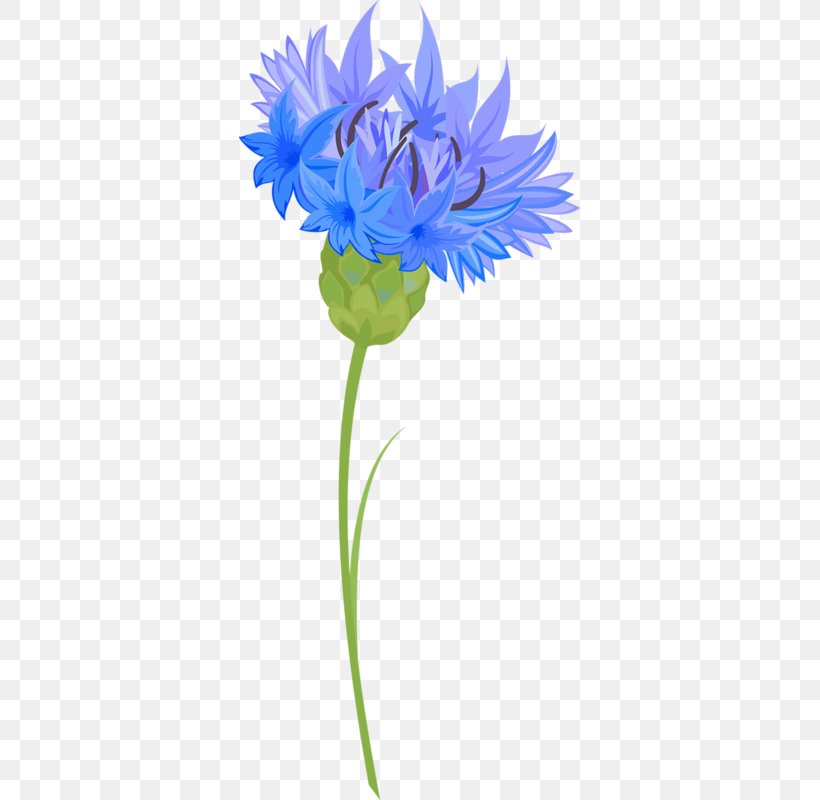 Blue Cornflower, PNG, 341x800px, Blue, Cornflower, Cornflower Blue, Cut Flowers, Cyanus Download Free