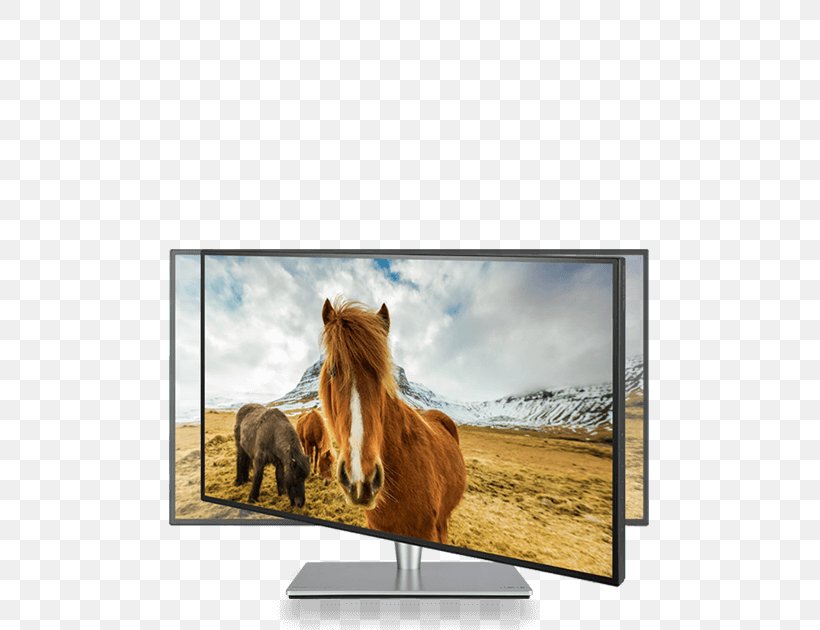 Computer Monitors SRGB IPS Panel ASUS Graphics Display Resolution, PNG, 500x630px, 4k Resolution, Computer Monitors, Asus, Color, Computer Hardware Download Free