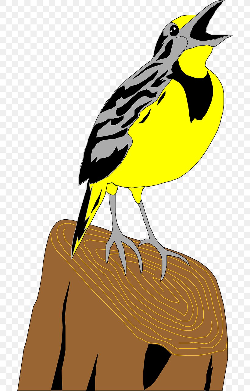 Flappet Lark Bird Clip Art, PNG, 706x1280px, Flappet Lark, Beak, Bird, Black And White, Fauna Download Free