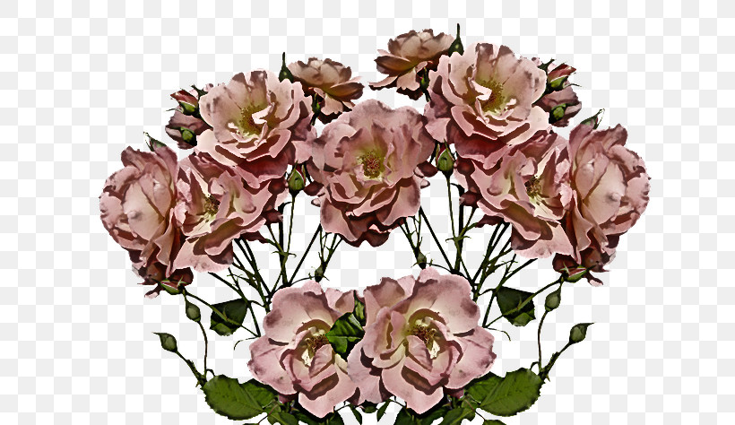 Floral Design, PNG, 640x474px, Dogrose, Cabbage Rose, Cleanser, Cut Flowers, Extract Download Free
