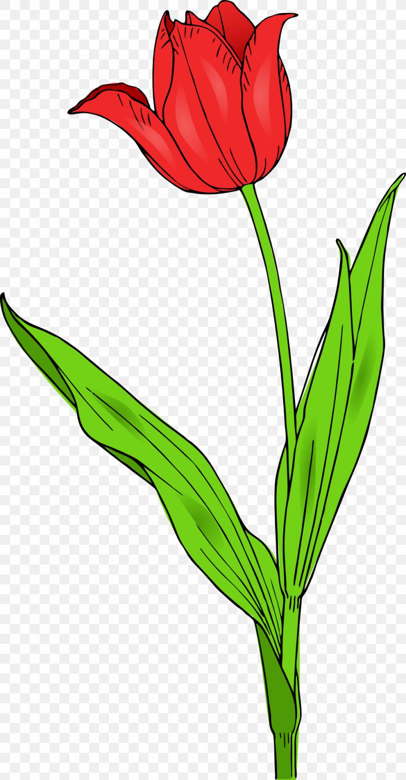Flower Tulipa Gesneriana Clip Art, PNG, 999x1920px, Flower, Art, Artwork, Color, Cut Flowers Download Free