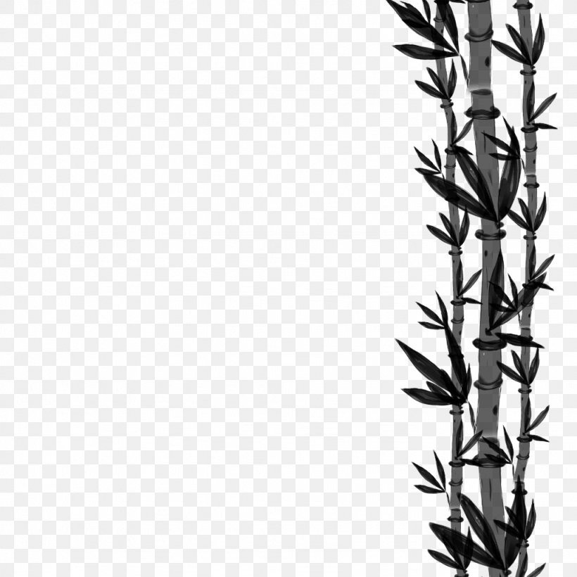 Black & White, PNG, 1024x1024px, Black White M, American Larch, Elymus Repens, Flower, Grass Family Download Free