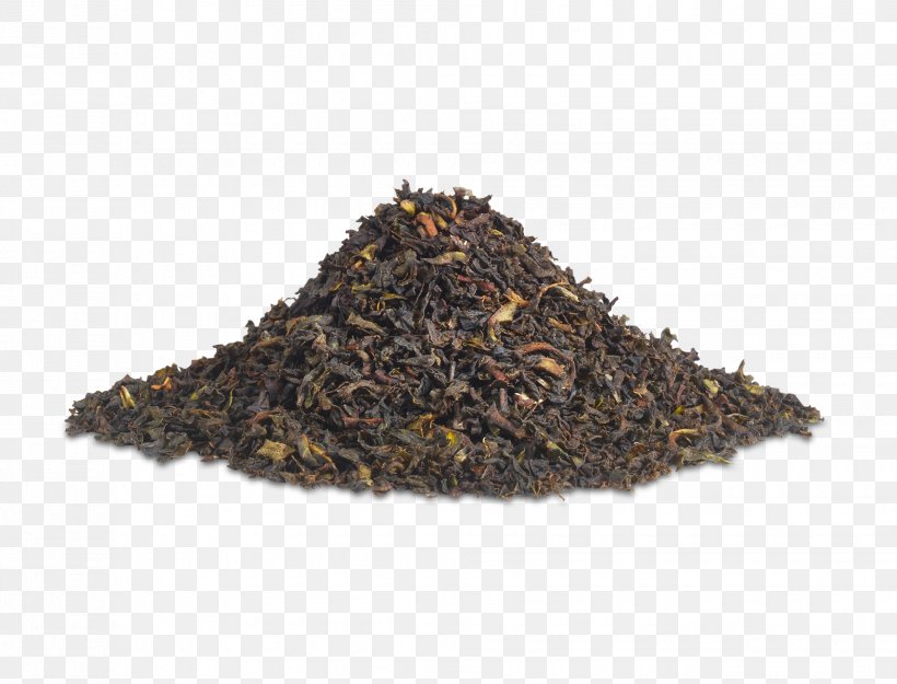 Earl Grey Tea Lapsang Souchong Keemun Darjeeling Tea, PNG, 1960x1494px, Tea, Assam Tea, Bancha, Black Tea, Camellia Sinensis Download Free