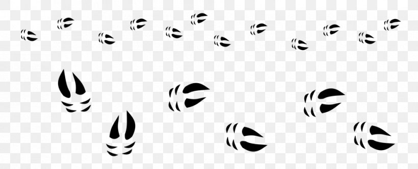 Line Point Angle White Nose, PNG, 993x402px, Point, Black, Black And White, Calligraphy, Face Download Free