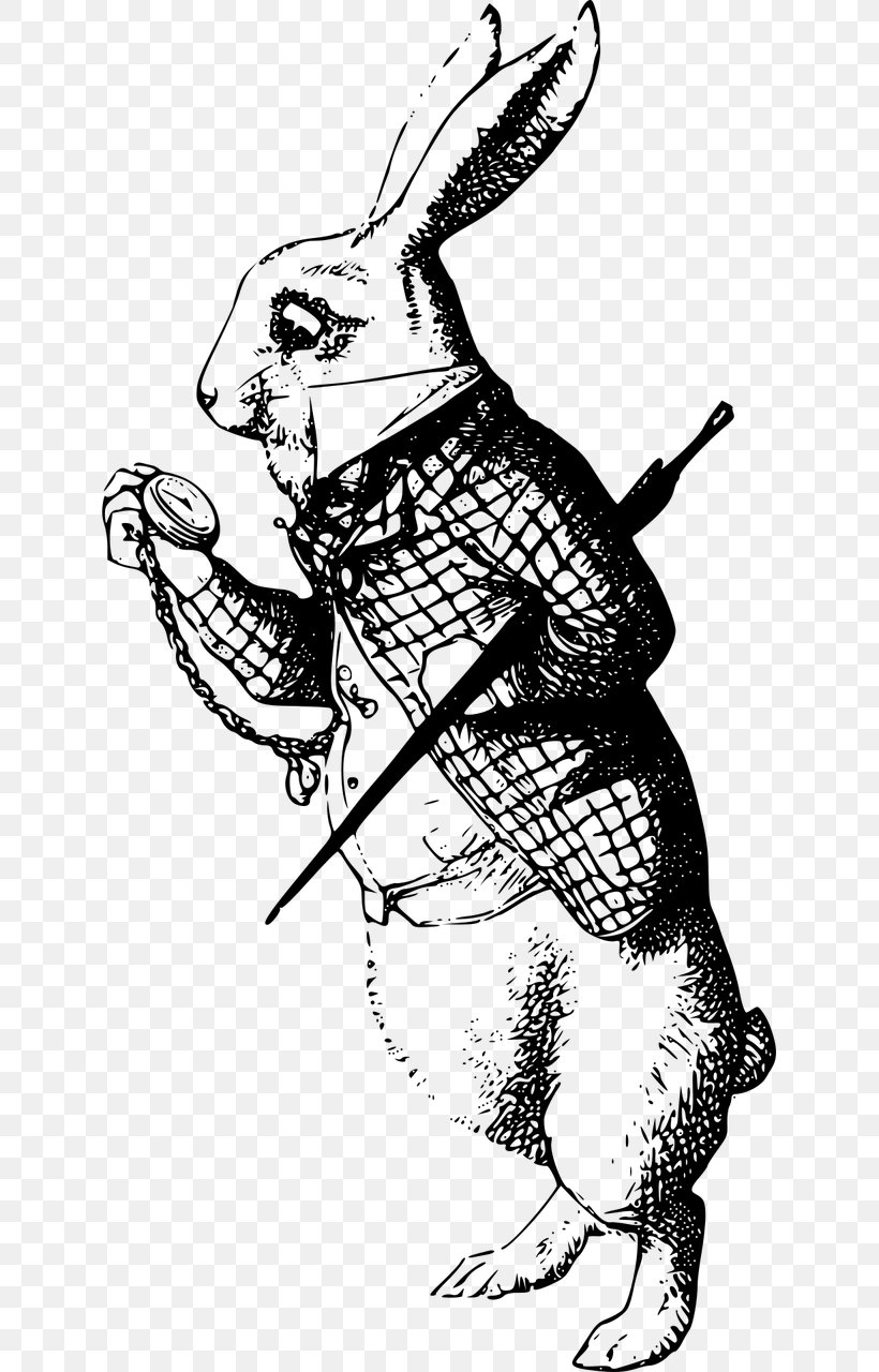 White Rabbit Alice's Adventures In Wonderland Mad Hatter The Nursery 