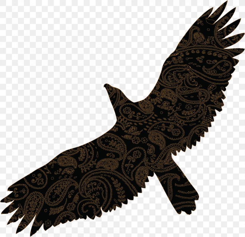 Bird Of Prey Gulls, PNG, 1002x968px, Bird, Albatross, Art, Beak, Bird Of Prey Download Free