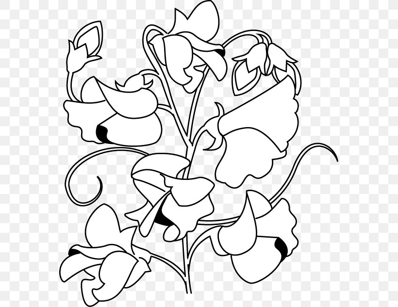 Floral Design Sweet Pea Flower Clip Art, PNG, 575x633px, Floral Design, Art, Artwork, Black, Black And White Download Free