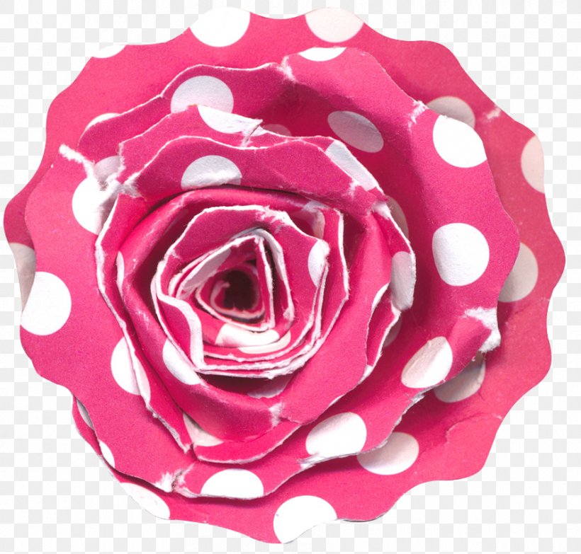 Garden Roses Beach Rose Centifolia Roses Polka Dot, PNG, 890x850px, Garden Roses, Beach Rose, Centifolia Roses, Cut Flowers, Floribunda Download Free